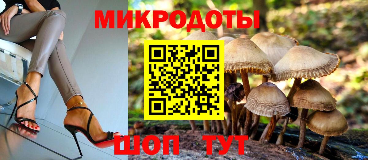 Галлюциногенные грибы Psilocybe  Вход с VPN  где купить наркотик  Братск 